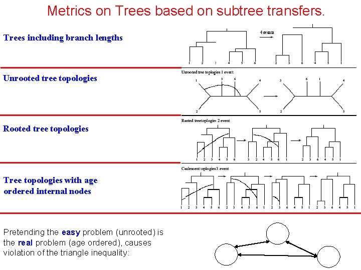 Metrics on Trees based on subtree transfers. Trees including branch lengths Unrooted tree topologies