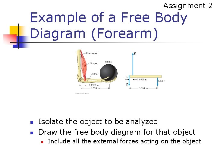 Assignment 2 Example of a Free Body Diagram (Forearm) n n Isolate the object