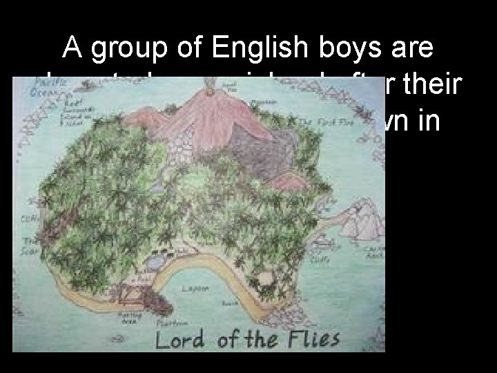 A group of English boys are deserted on an island after their plane has