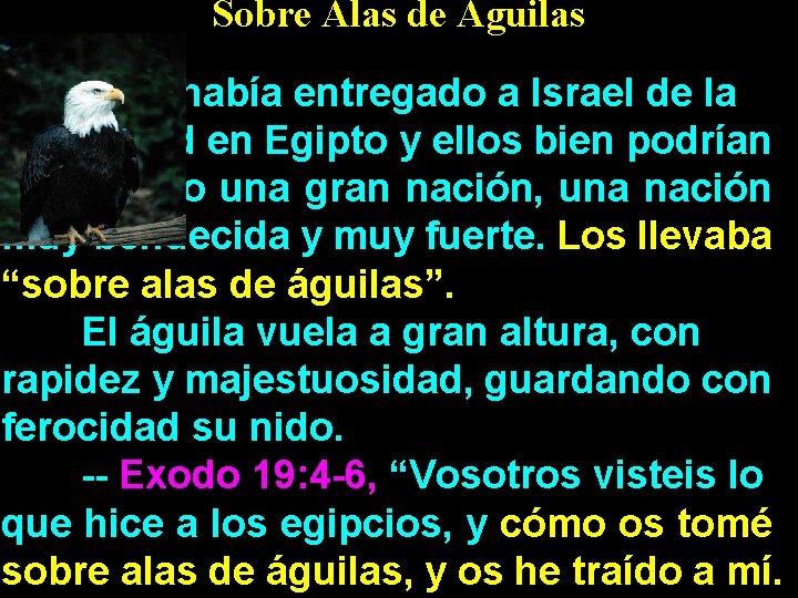 A Sobre Alas de Aguilas Dios había entregado a Israel de la esclavitud en