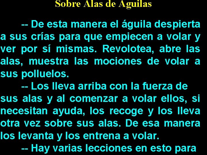 Sobre Alas de Aguilas -- De esta manera el águila despierta a sus crías