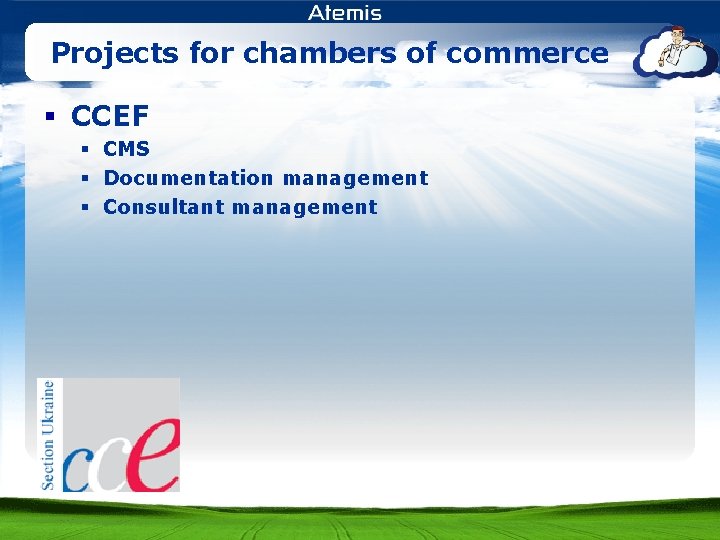 Projects for chambers of commerce § CCEF § CMS § Documentation management § Consultant