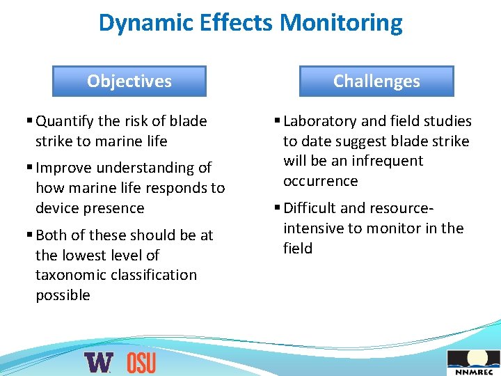 Dynamic Effects Monitoring Objectives § Quantify the risk of blade strike to marine life