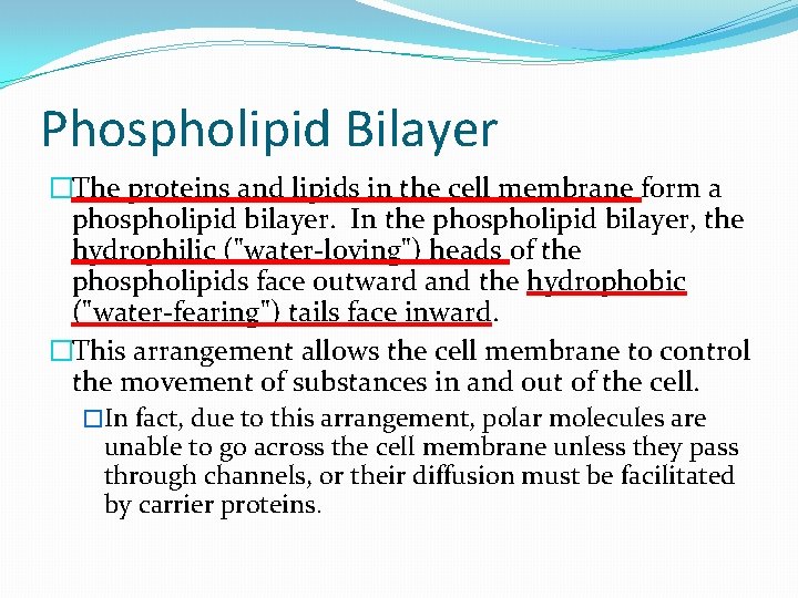 Phospholipid Bilayer �The proteins and lipids in the cell membrane form a phospholipid bilayer.