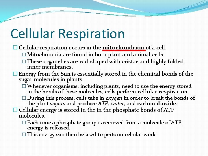 Cellular Respiration � Cellular respiration occurs in the mitochondrion of a cell. � Mitochondria