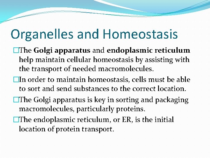 Organelles and Homeostasis �The Golgi apparatus and endoplasmic reticulum help maintain cellular homeostasis by