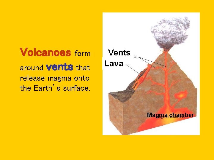 Volcanoes form around vents that Vents Lava release magma onto the Earth’s surface. Magma