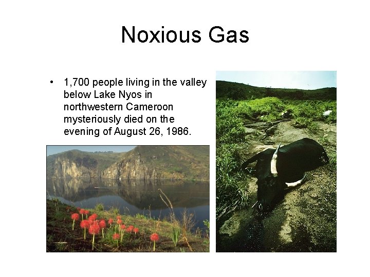 Noxious Gas • 1, 700 people living in the valley below Lake Nyos in