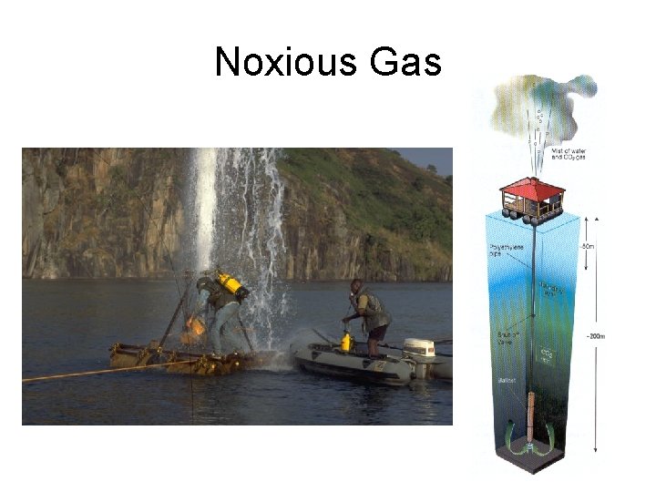 Noxious Gas 