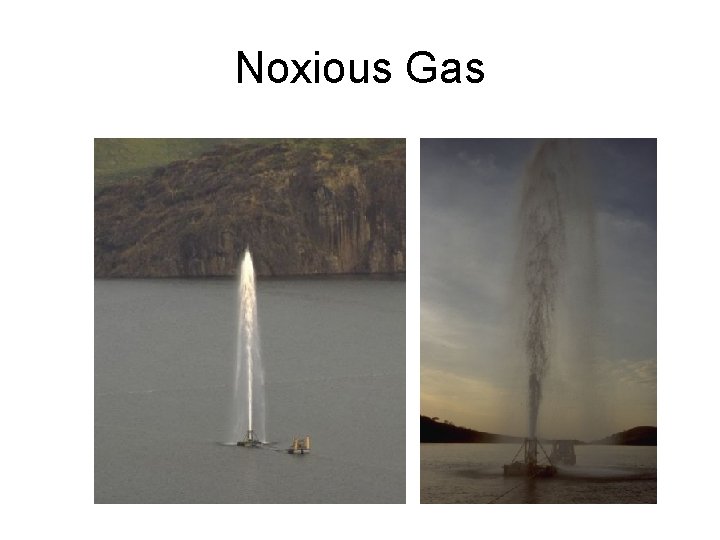 Noxious Gas 