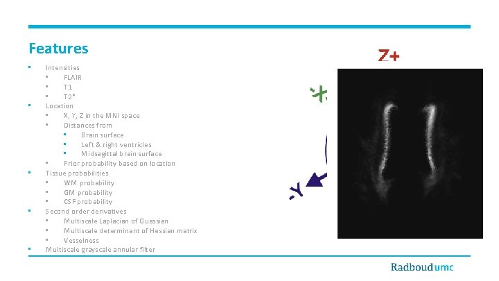 Features • • • Intensities • FLAIR • T 1 • T 2* Location