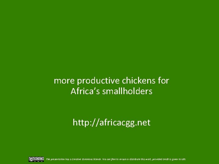 more productive chickens for Africa’s smallholders http: //africacgg. net The presentation has a Creative