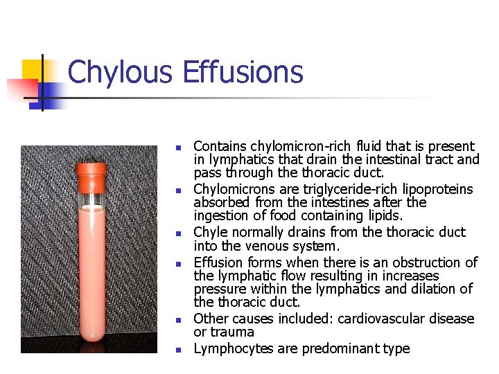 Chylous Effusions n n n Contains chylomicron-rich fluid that is present in lymphatics that