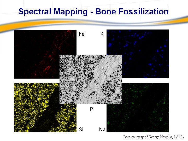 Spectral Mapping - Bone Fossilization Fe K P Si Na Data courtesy of George