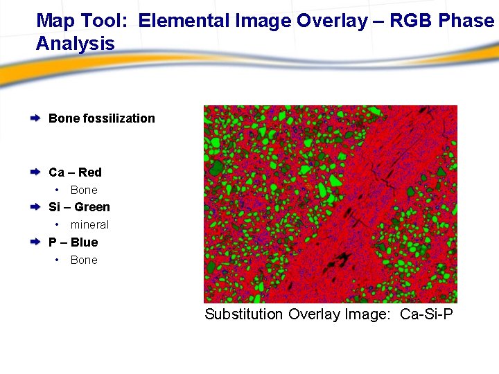 Map Tool: Elemental Image Overlay – RGB Phase Analysis Bone fossilization Ca – Red