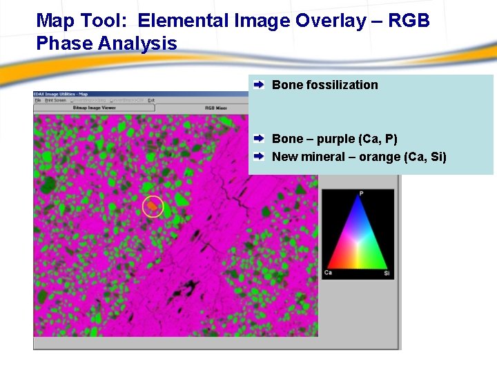 Map Tool: Elemental Image Overlay – RGB Phase Analysis Bone fossilization Bone – purple