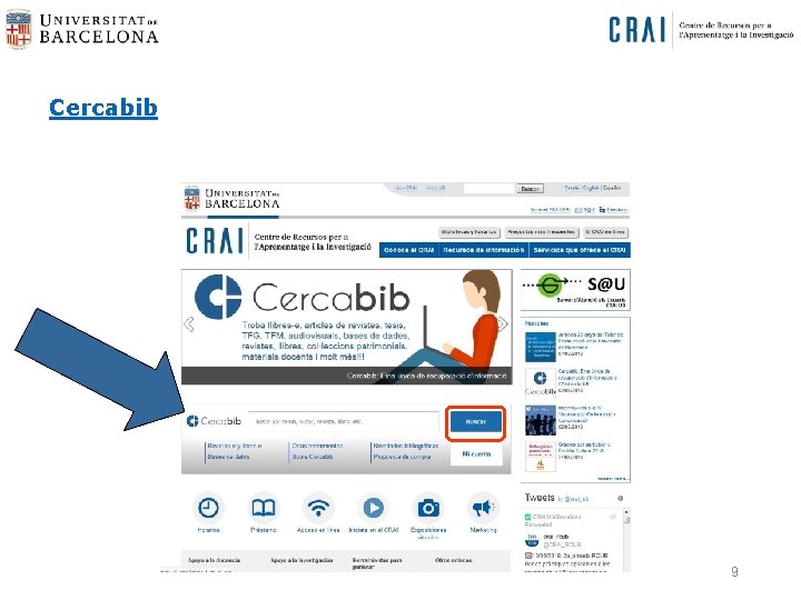 Cercabib 9 