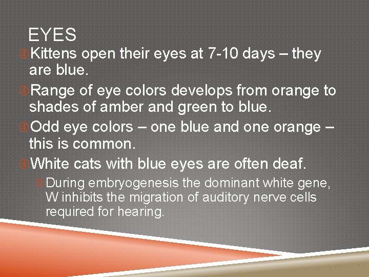 EYES Kittens open their eyes at 7 -10 days – they are blue. Range