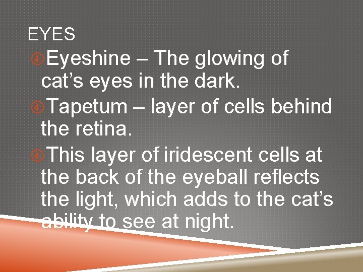 EYES Eyeshine – The glowing of cat’s eyes in the dark. Tapetum – layer