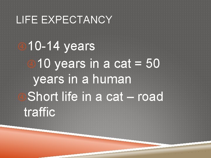LIFE EXPECTANCY 10 -14 years 10 years in a cat = 50 years in