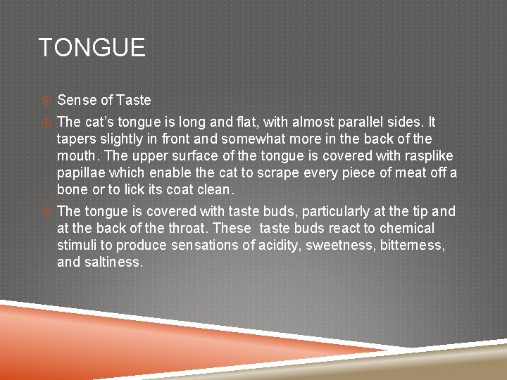 TONGUE Sense of Taste The cat’s tongue is long and flat, with almost parallel