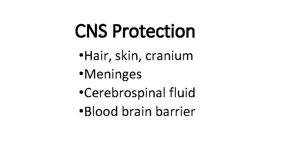 CNS Protection • Hair, skin, cranium • Meninges • Cerebrospinal fluid • Blood brain