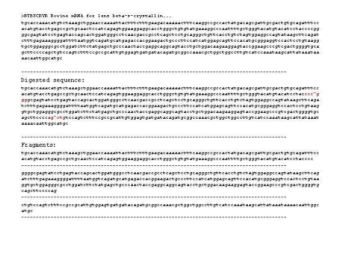 >BTBSCRYR Bovine m. RNA for lens beta-s-crystallin. . . tgcaccaaacatgtctaaagctggaaccaaaattactttgaagacaaaaactttcaaggccgccactatgacagcgattgcgactgtgcagatttcc acatgtacctgagccgctgcaactccatcagagtggaaggaggcacctgggctgtgtatgaaaggcccaattttgctgggtacatcctaccccgg ggcgagtatcctgagtaccagcactggatgggcctcaacgaccgcctcagctcctgcagggctgttcacctgtctagtggaggccagtataagcttcagat ctttgagaaaggggattttaatggtcagatgcatgagaccacggaagactgcccttccatcatggagcagttccacatgcgggaggtccactcctgtaagg tgctggagggcgcctggatcttctatgagctgcccaactaccgaggcagtacctgctggacaagaaggagtaccggaagcccgtcgactggggtgca