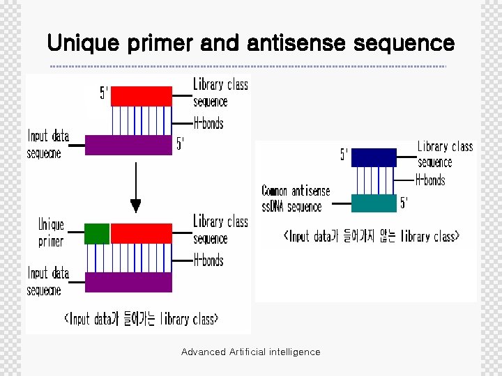 Unique primer and antisense sequence Advanced Artificial intelligence 