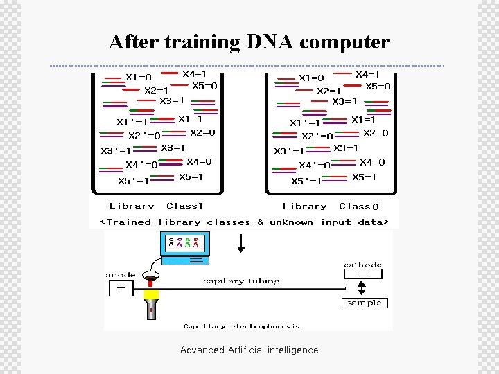 After training DNA computer Advanced Artificial intelligence 