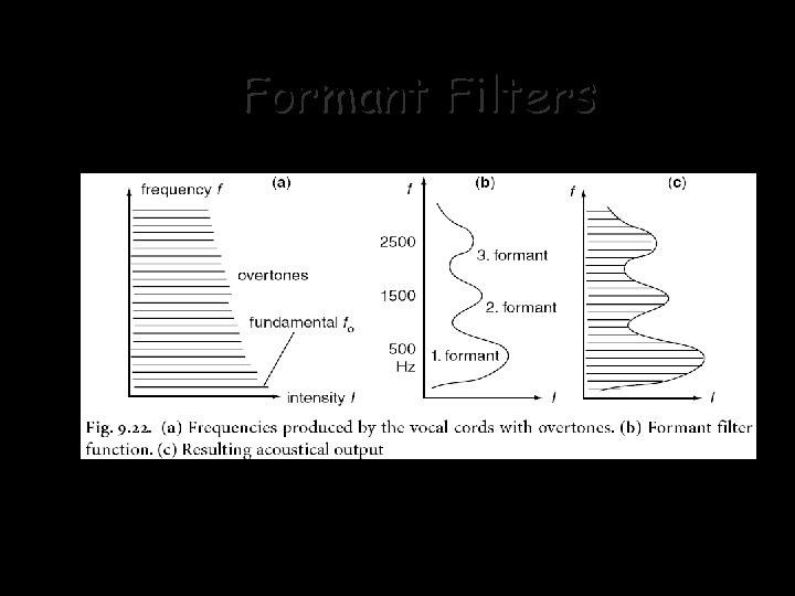 Formant Filters 