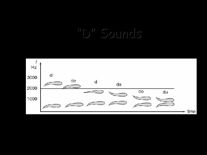 “D” Sounds 