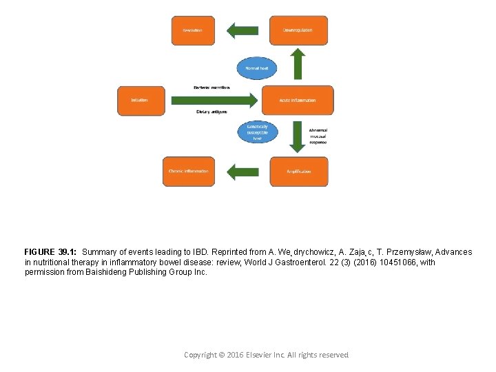 FIGURE 39. 1: Summary of events leading to IBD. Reprinted from A. We˛drychowicz, A.