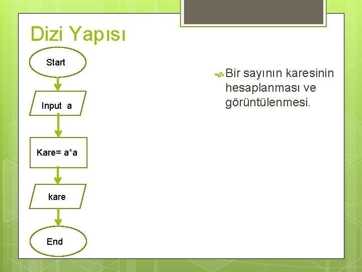 Dizi Yapısı Start Input a Kare= a*a kare End Bir sayının karesinin hesaplanması ve