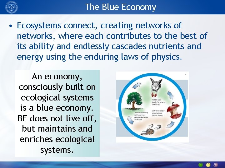The Blue Economy • Ecosystems connect, creating networks of networks, where each contributes to