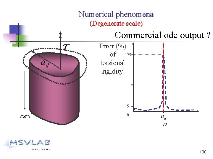 Numerical phenomena (Degenerate scale) Commercial ode output ? Error (%) of 125 torsional rigidity