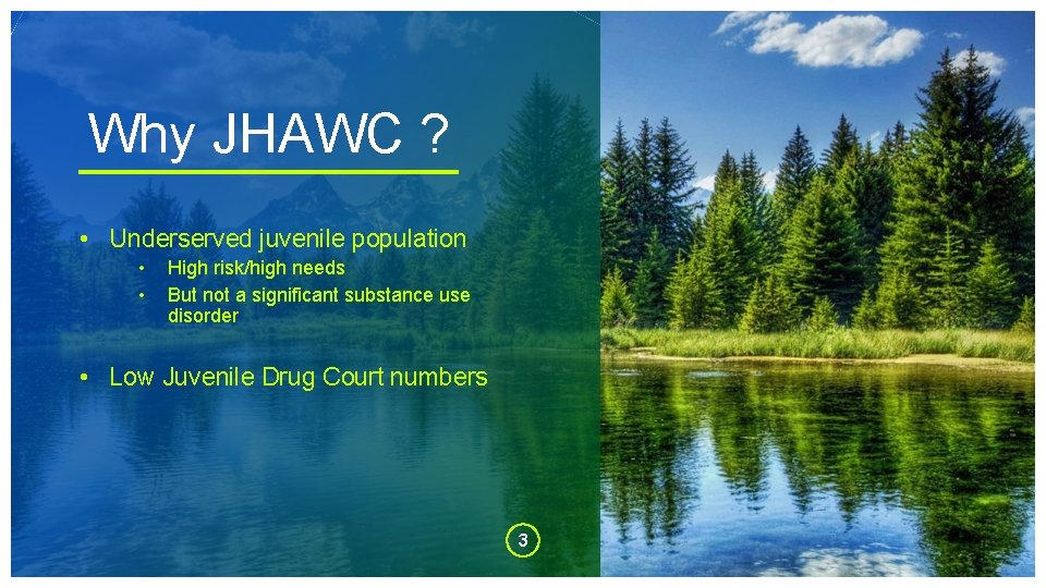 Why JHAWC ? • Underserved juvenile population • • High risk/high needs But not