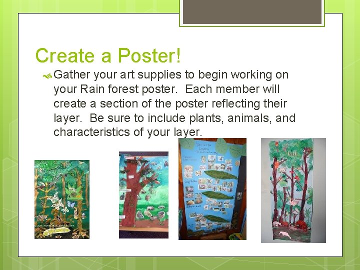 Create a Poster! Gather your art supplies to begin working on your Rain forest