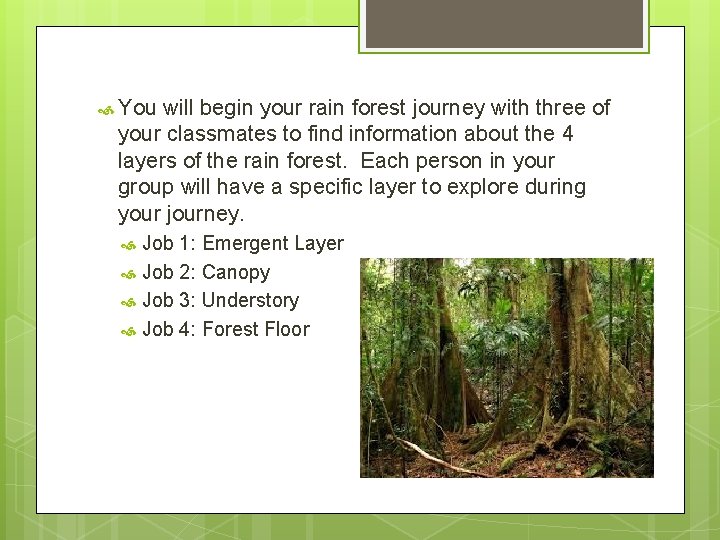  You will begin your rain forest journey with three of your classmates to