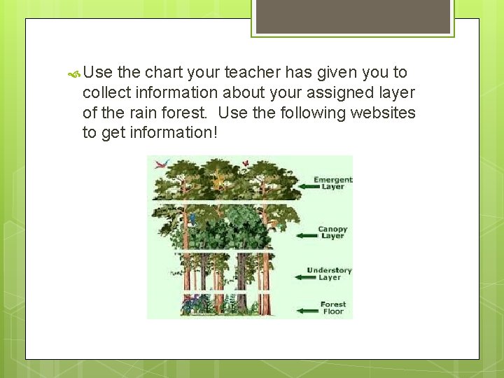  Use the chart your teacher has given you to collect information about your