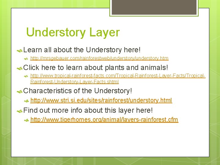 Understory Layer Learn all about the Understory here! http: //mrsgebauer. com/rainforestweb/understory. htm Click here