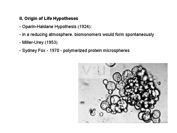 II. Origin of Life Hypotheses - Oparin-Haldane Hypothesis (1924): - in a reducing atmosphere, II. Origin of Life Hypotheses - Oparin-Haldane Hypothesis (1924): - in a reducing atmosphere,