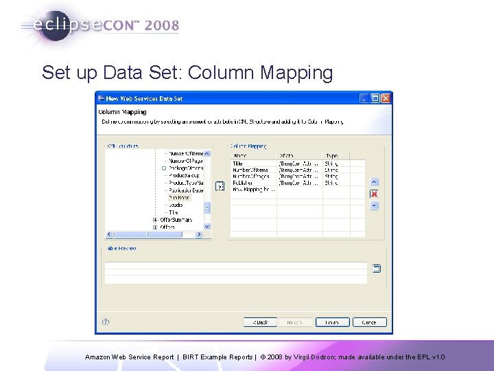 Set up Data Set: Column Mapping Amazon Web Service Report | BIRT Example Reports