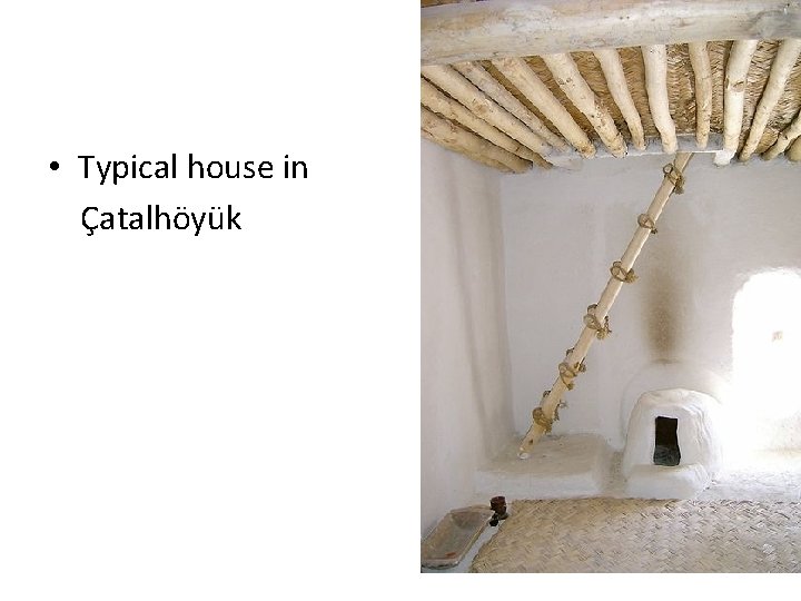  • Typical house in Çatalhöyük 