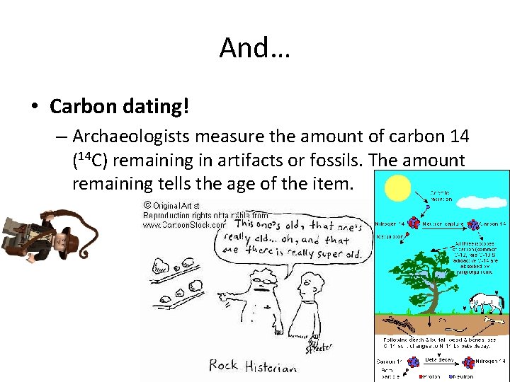 And… • Carbon dating! – Archaeologists measure the amount of carbon 14 (14 C)