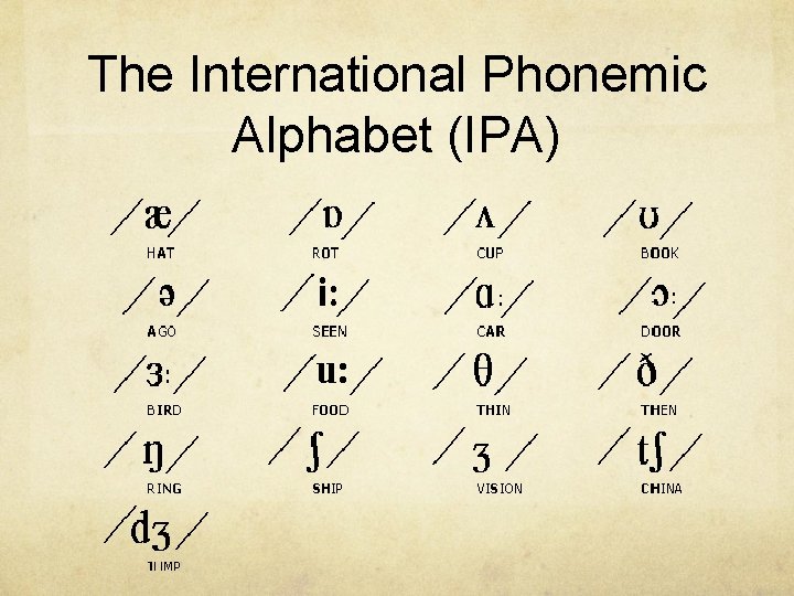 The International Phonemic Alphabet (IPA) 