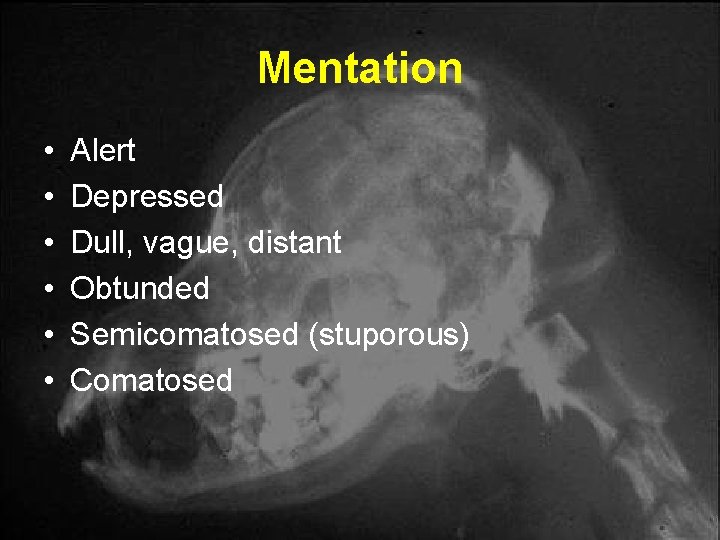 Mentation • • • Alert Depressed Dull, vague, distant Obtunded Semicomatosed (stuporous) Comatosed Mentation • • • Alert Depressed Dull, vague, distant Obtunded Semicomatosed (stuporous) Comatosed