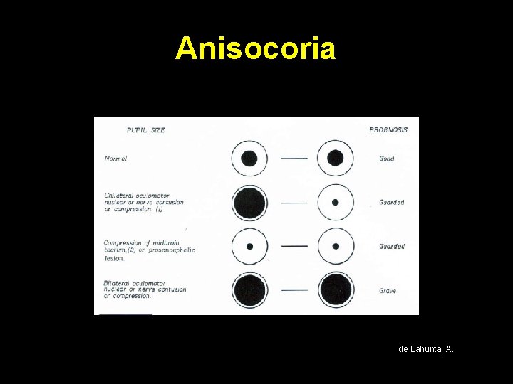 Anisocoria de Lahunta, A. Anisocoria de Lahunta, A.