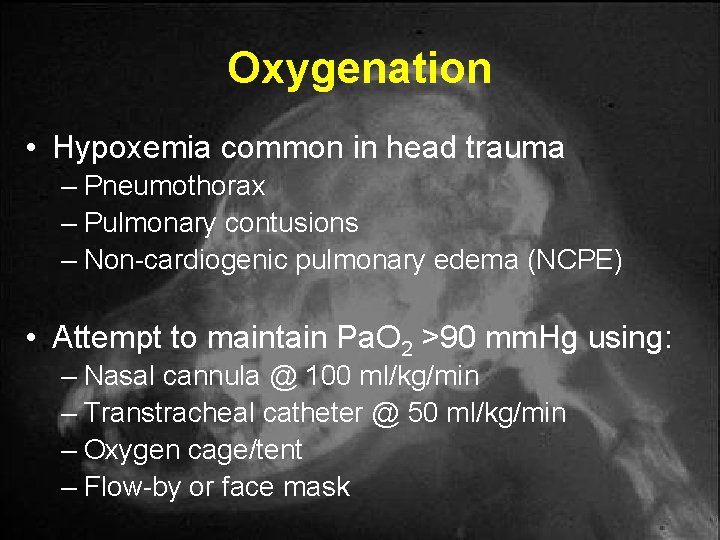 Oxygenation • Hypoxemia common in head trauma – Pneumothorax – Pulmonary contusions – Non-cardiogenic Oxygenation • Hypoxemia common in head trauma – Pneumothorax – Pulmonary contusions – Non-cardiogenic