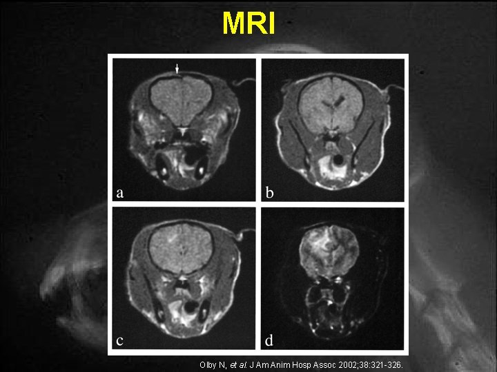 MRI Olby N, et al. J Am Anim Hosp Assoc 2002; 38: 321 -326. MRI Olby N, et al. J Am Anim Hosp Assoc 2002; 38: 321 -326.