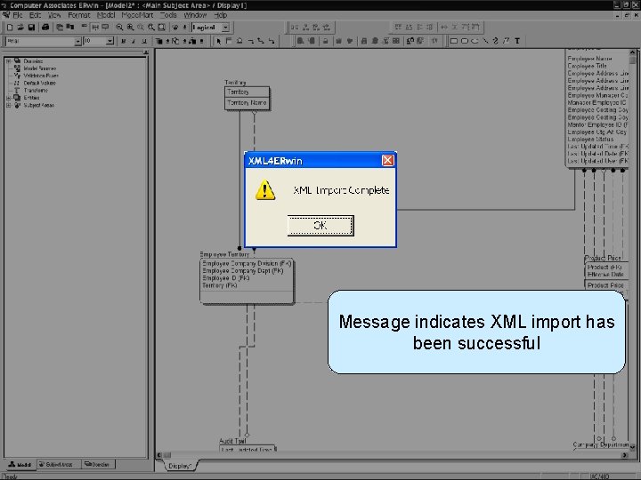Open XML File in All. Fusion ERwin Message indicates XML import has been successful
